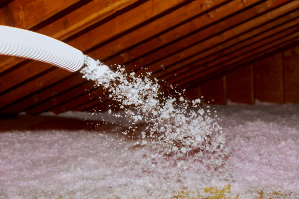 Best Insulation Contractor Near Me  in Reading, OH